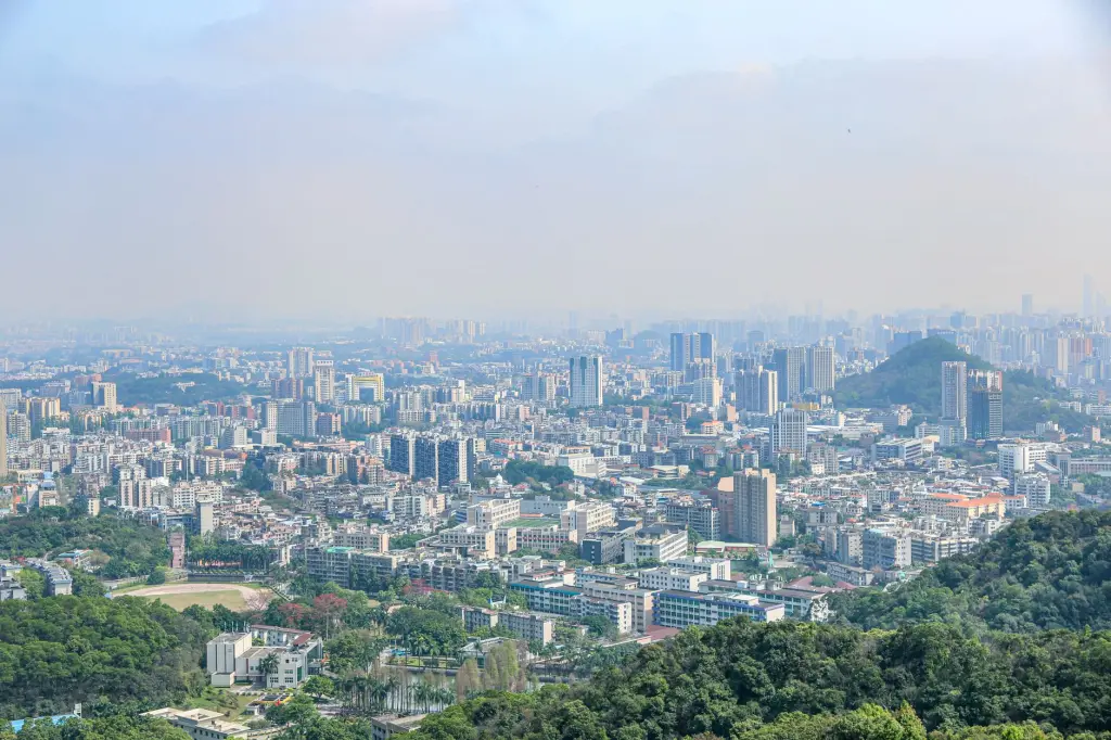 2025年深圳麦克斯出国移民服务市场价格趋势与项目选择