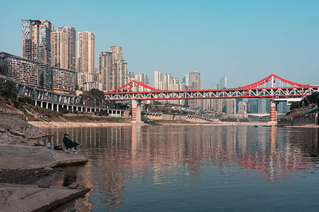 2025年海外移民政策调整对深圳家庭身份规划的影响分析