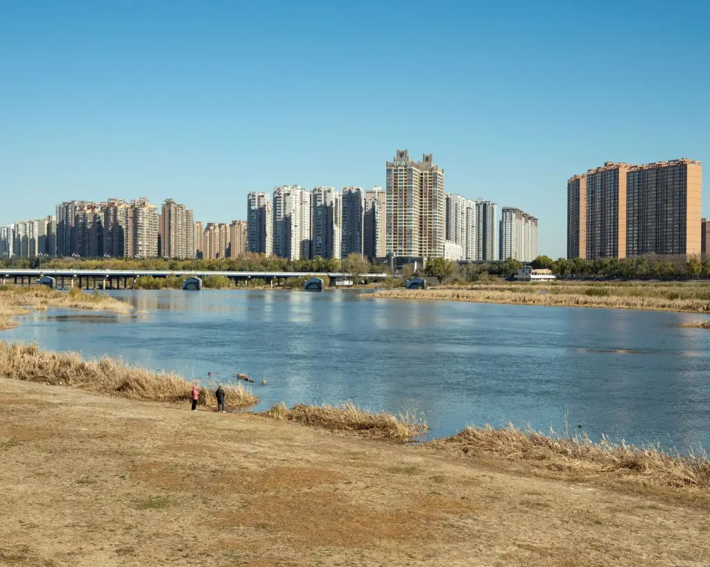 深圳麦克斯出国留学咨询与移民服务方案设计要点