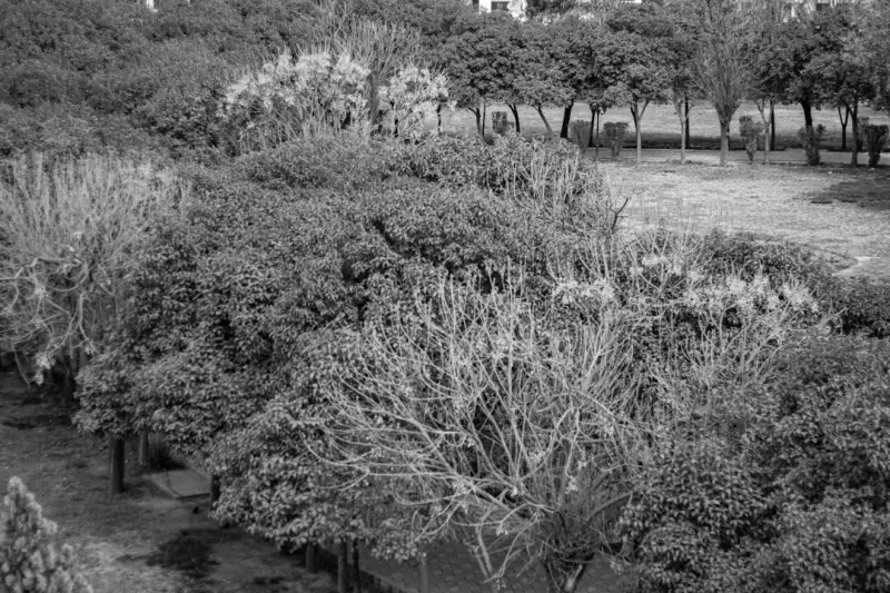 2024年深圳麦克斯出国移民服务产品线全景解析与选择策略