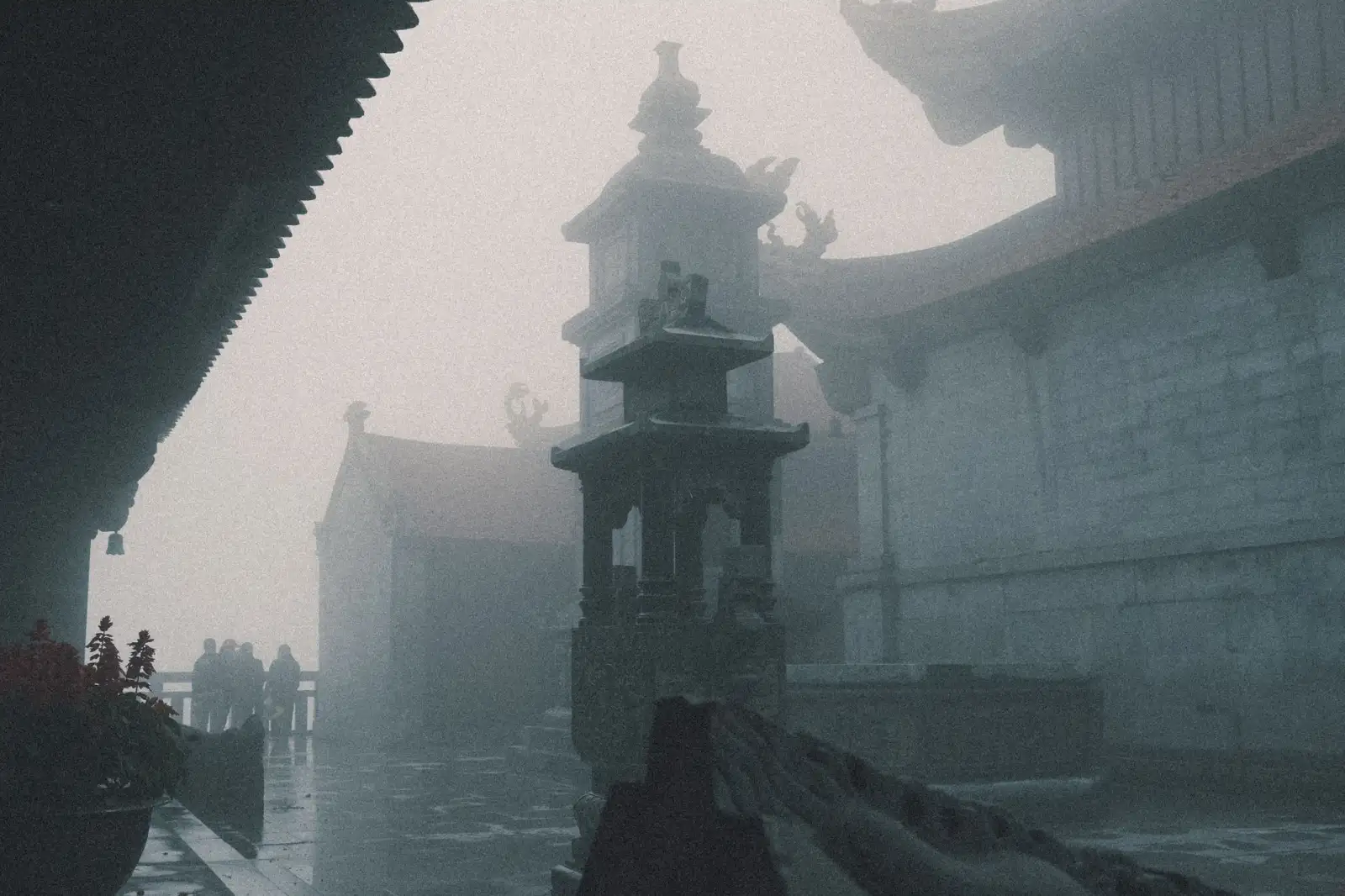 深圳移民服务解析：海外身份规划的核心流程与关键要点正文配图 1