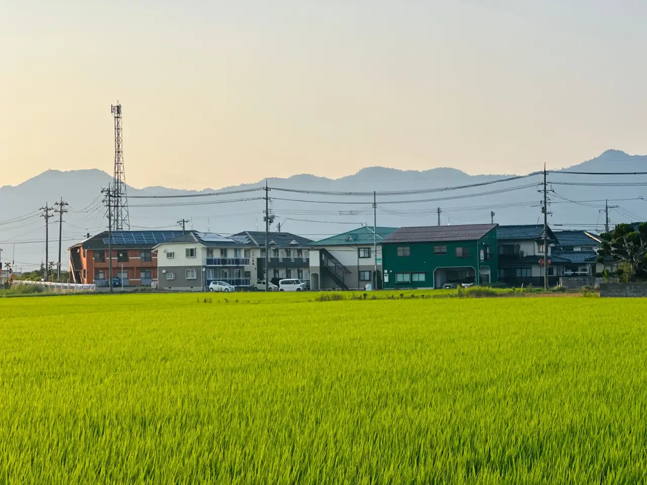 2025年主流国家移民政策调整趋势与应对方案